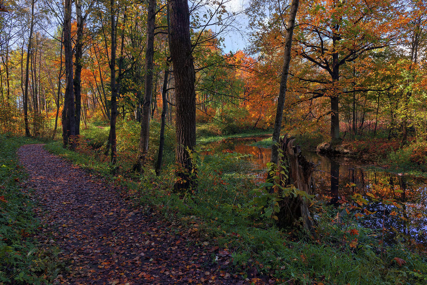 Старый парк...