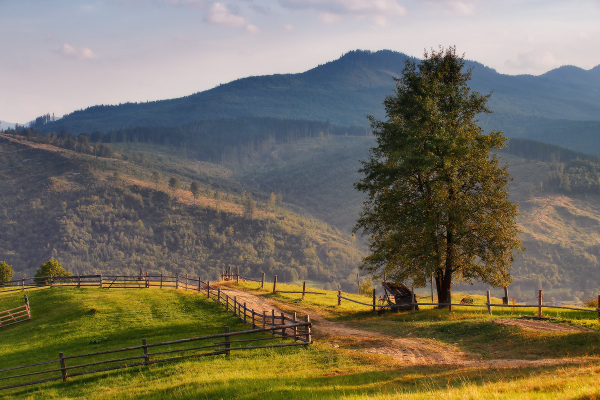 Карпатская. Солнечно-вечерняя.