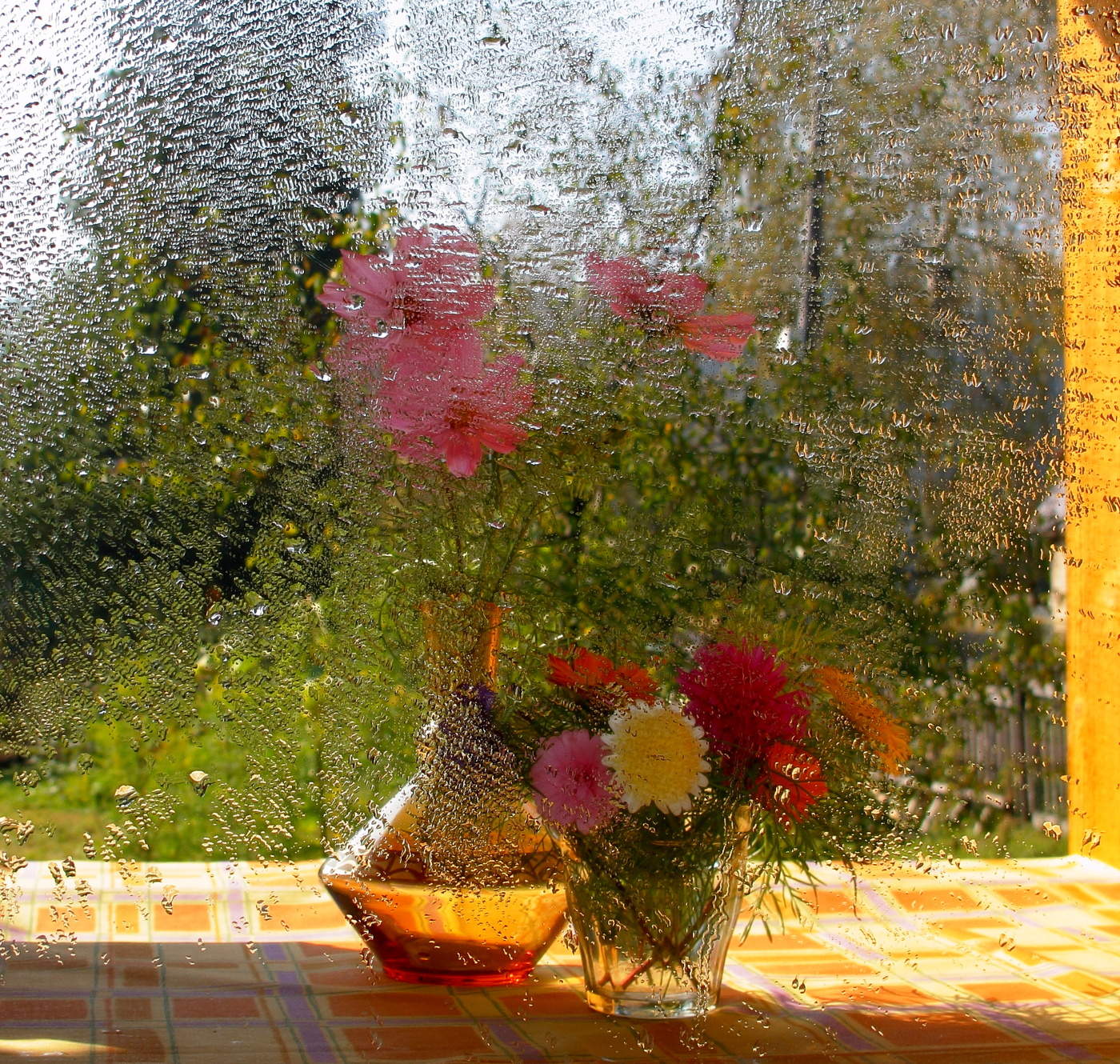 До свиданья лето, до свидания