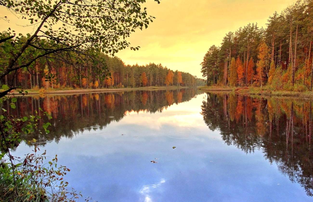 Осеннее отражение