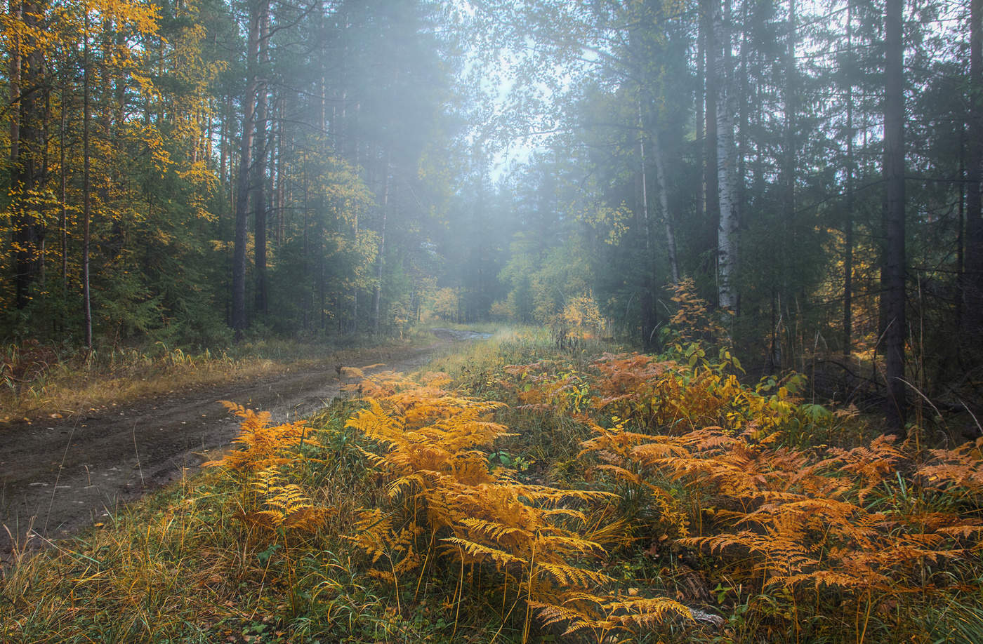 Осенний день