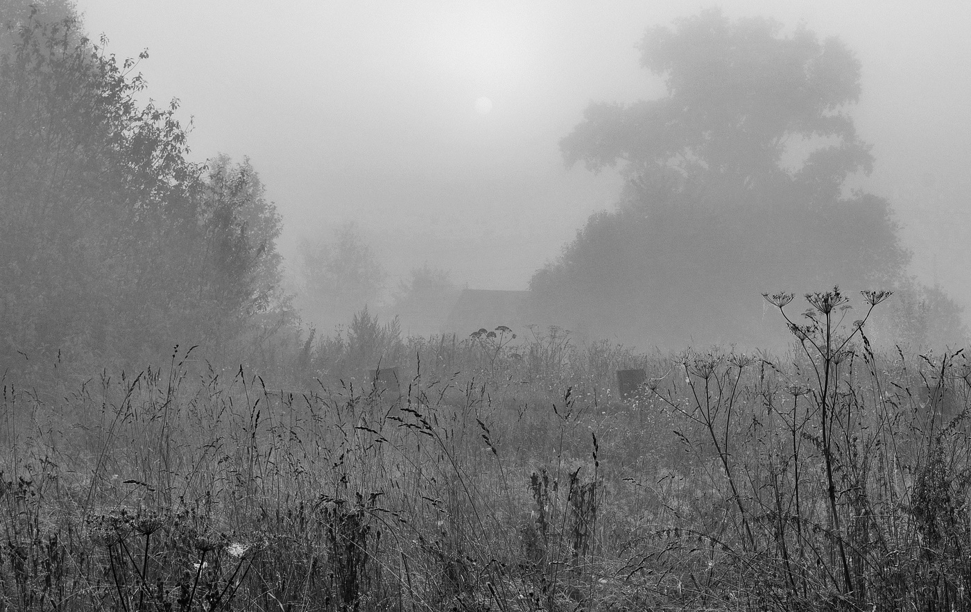 Холодным утром солнце в дымке...