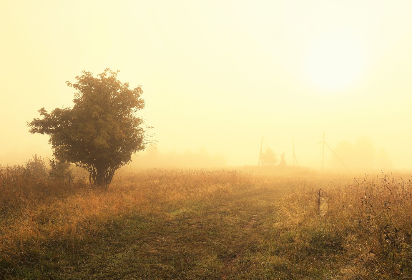 Утро жаркого дня ...