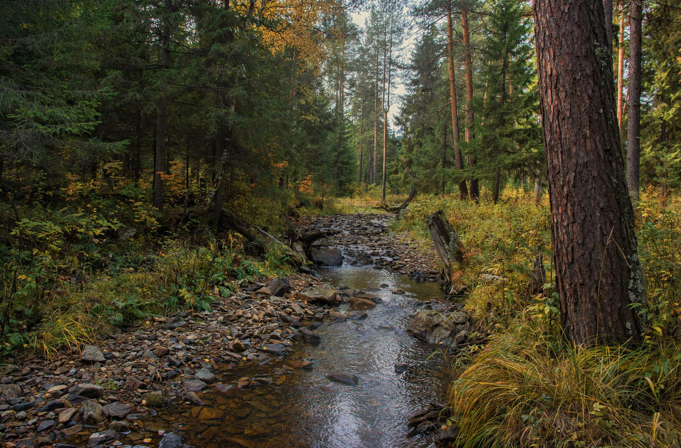 Осенний этюд
