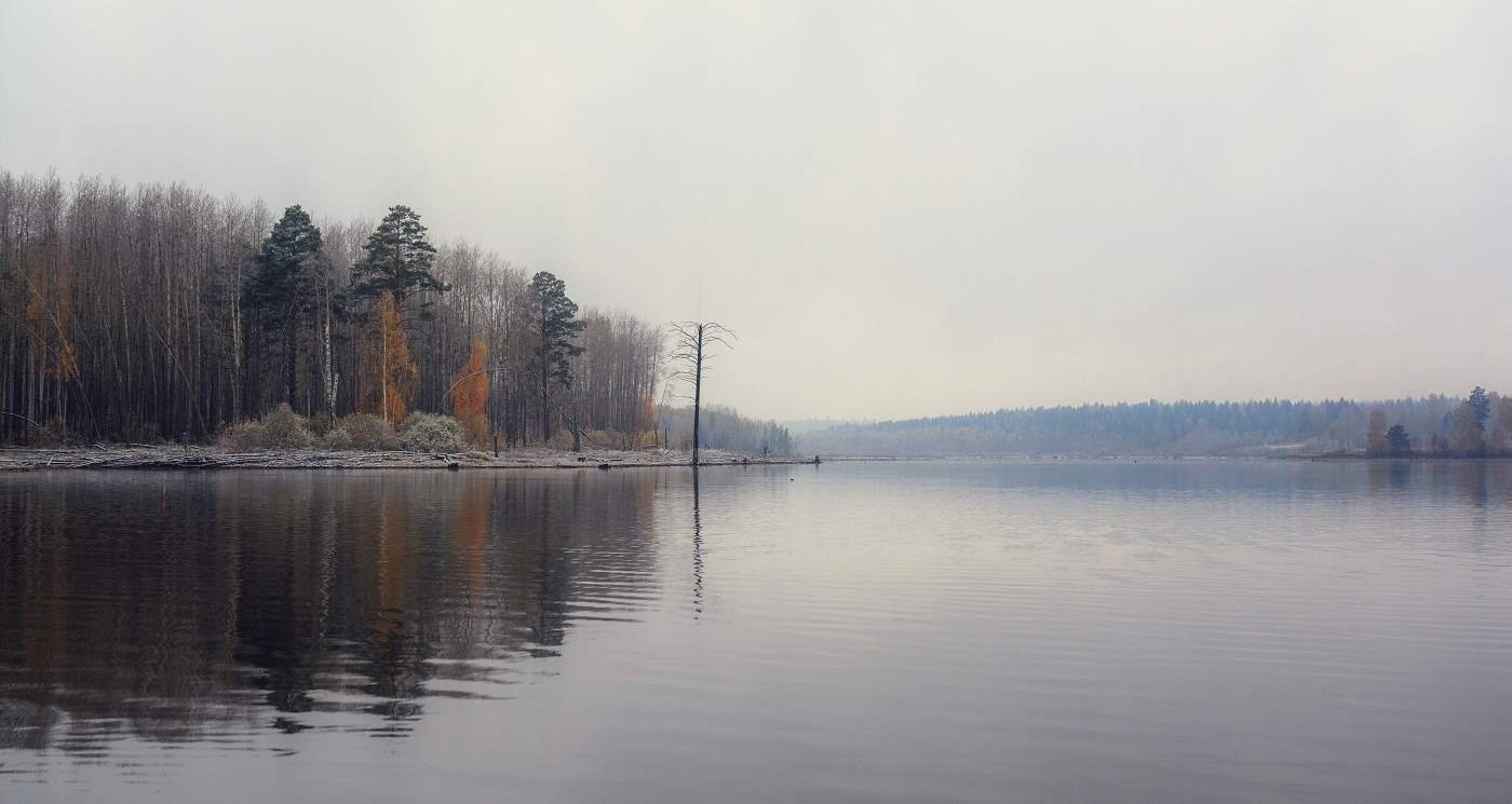 Цветки осени.
