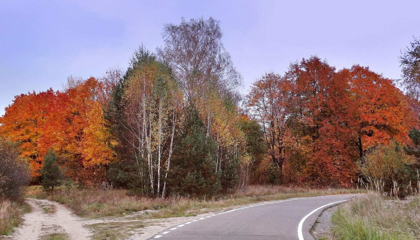 Налево осень и направо осень