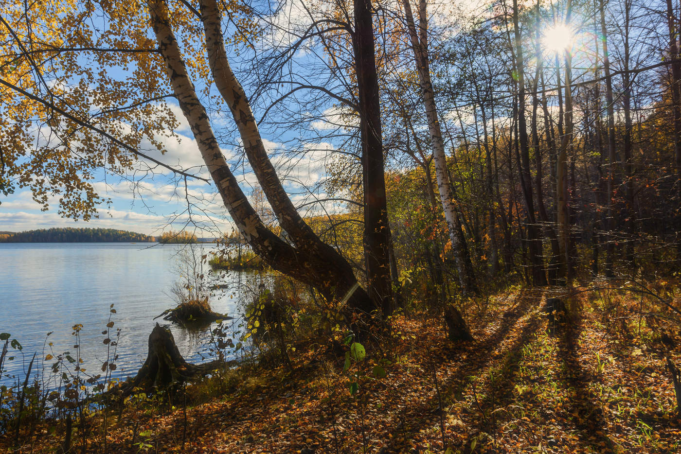 Осенний берег