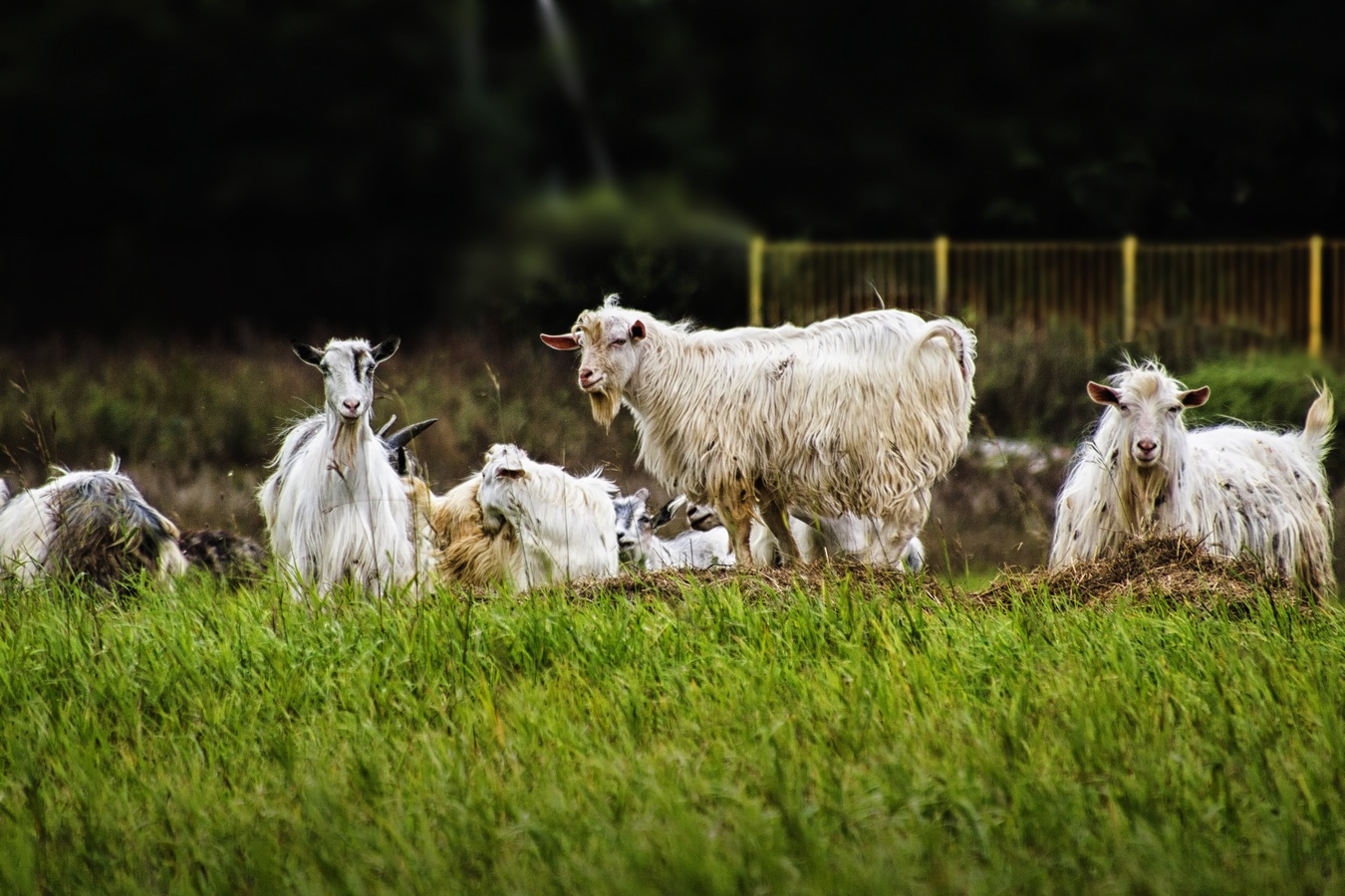 Шел бы ты... мимо!