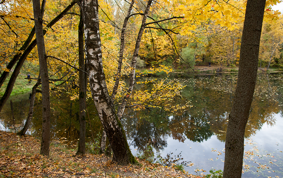 Старый пруд