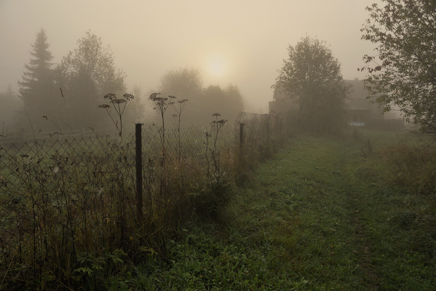 Годами когда-нибудь в зале концертной...