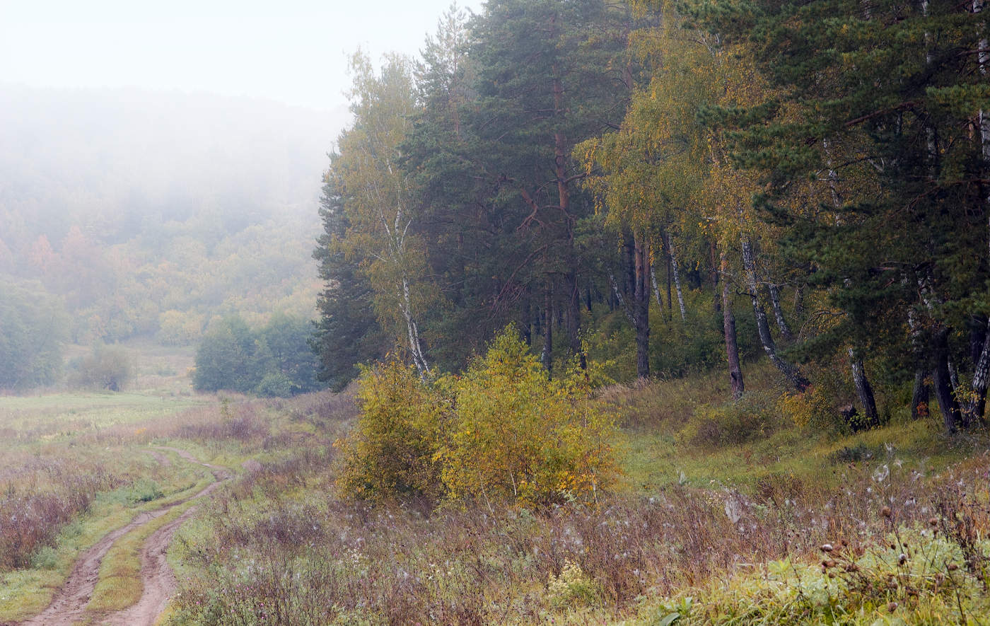 Осенний этюд