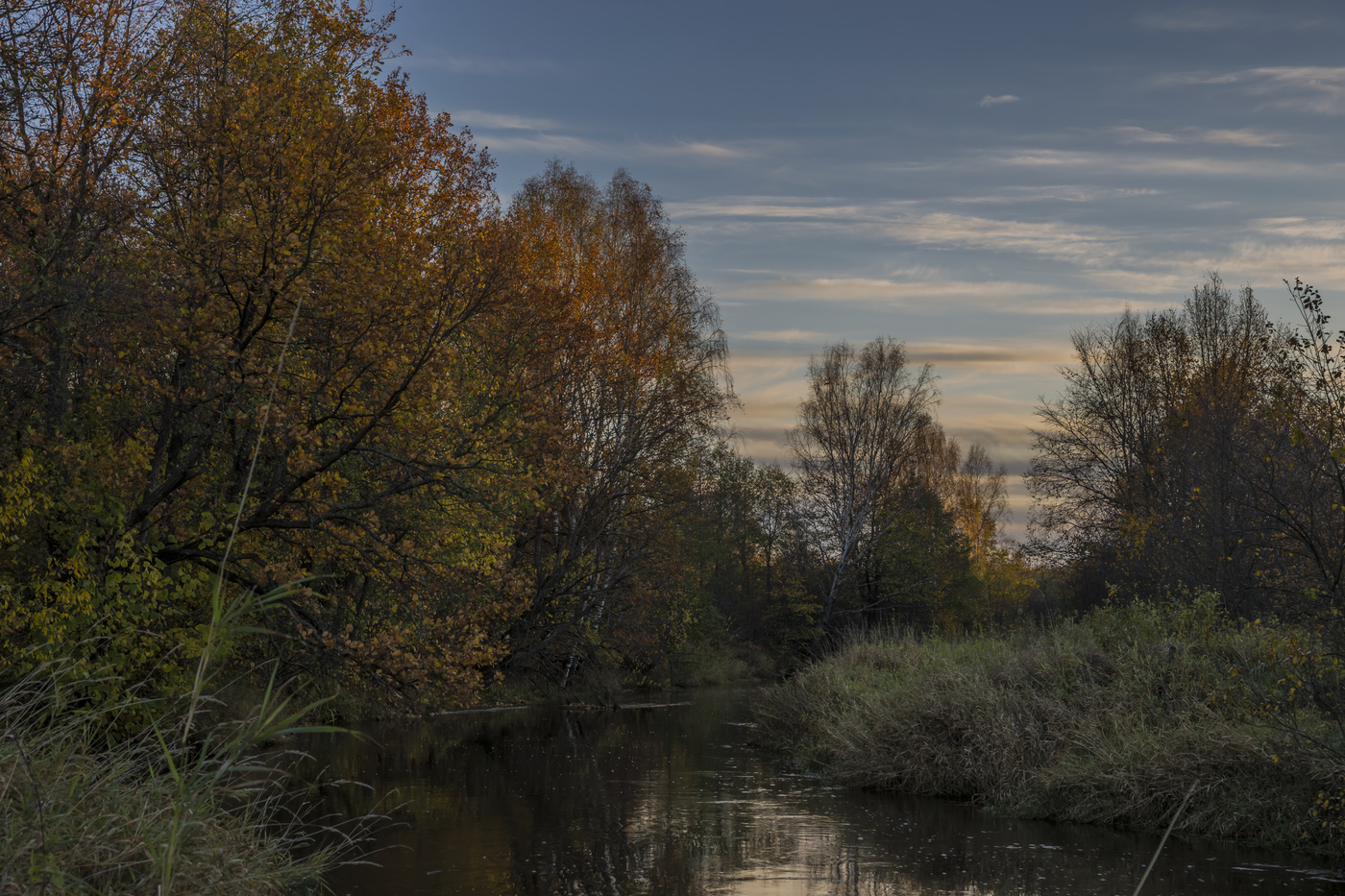 Вечер на Цне