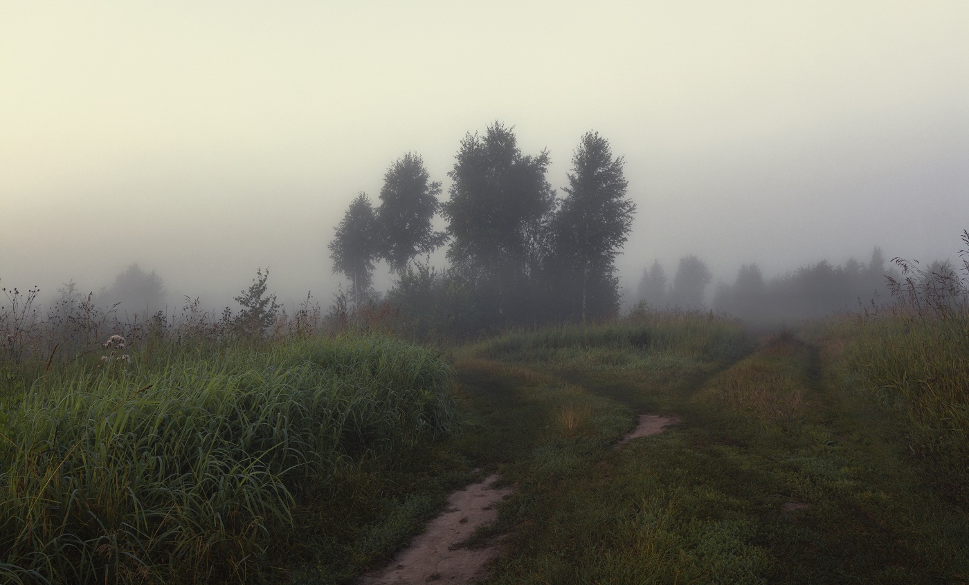 Летний туман.