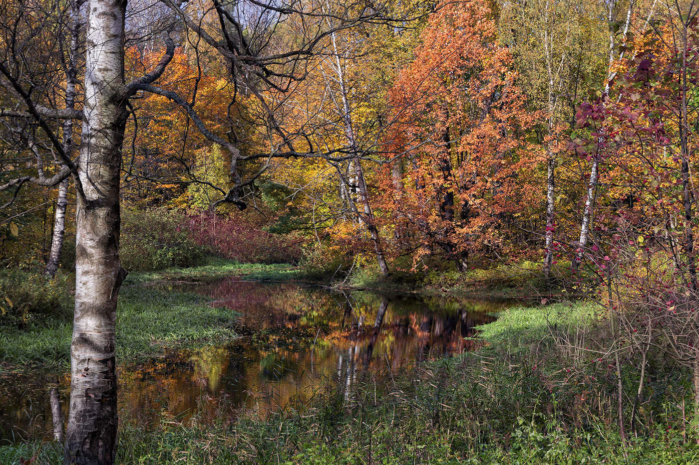 Осенние акварели...