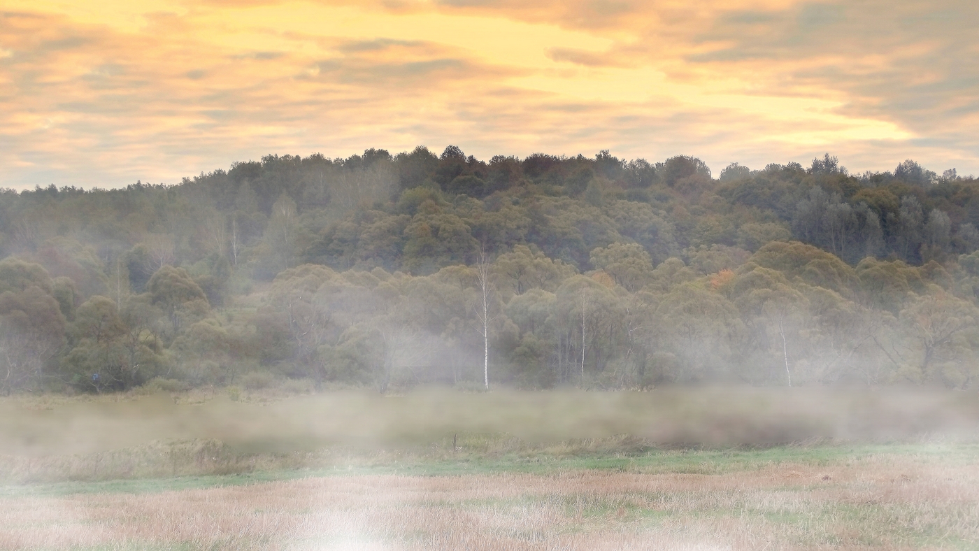 Утро туманное