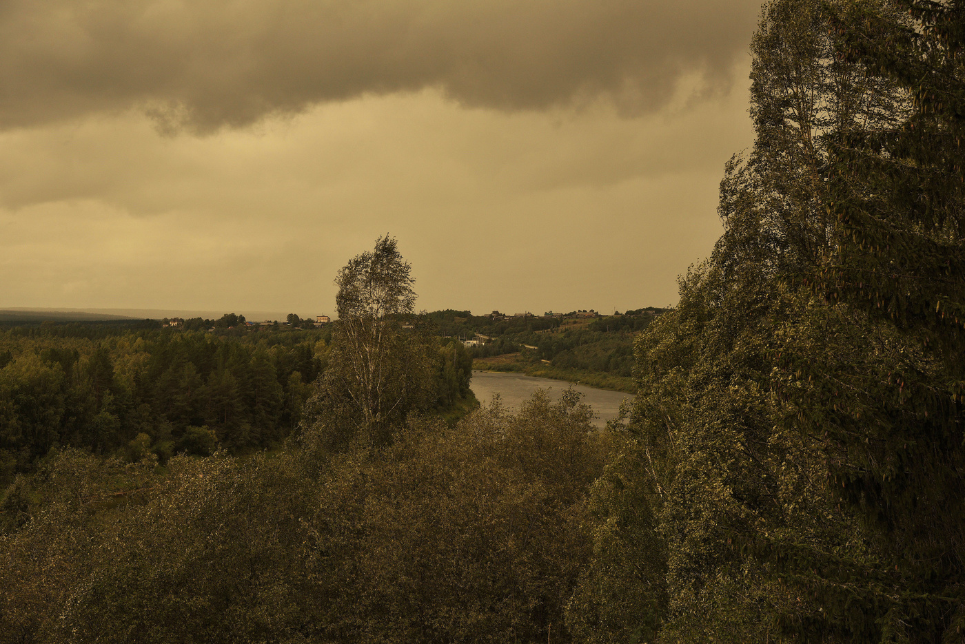 "Топтался дождик у дверей ..."