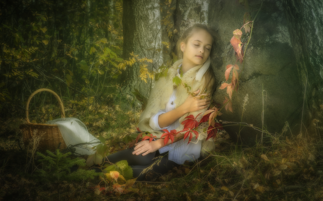 сон в осенний полдень..