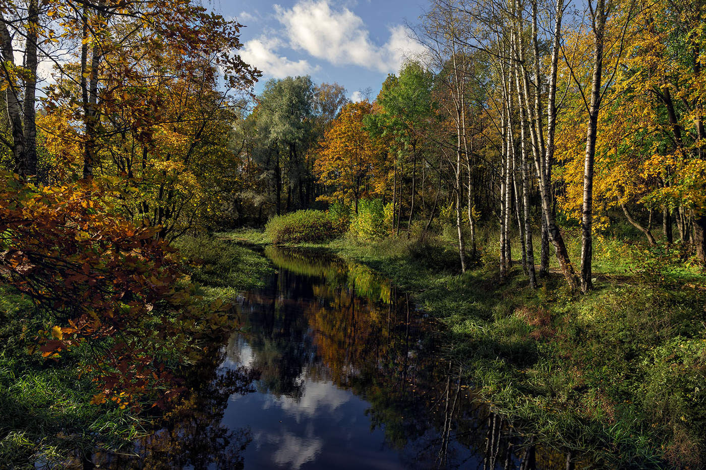 Осенние акварели...