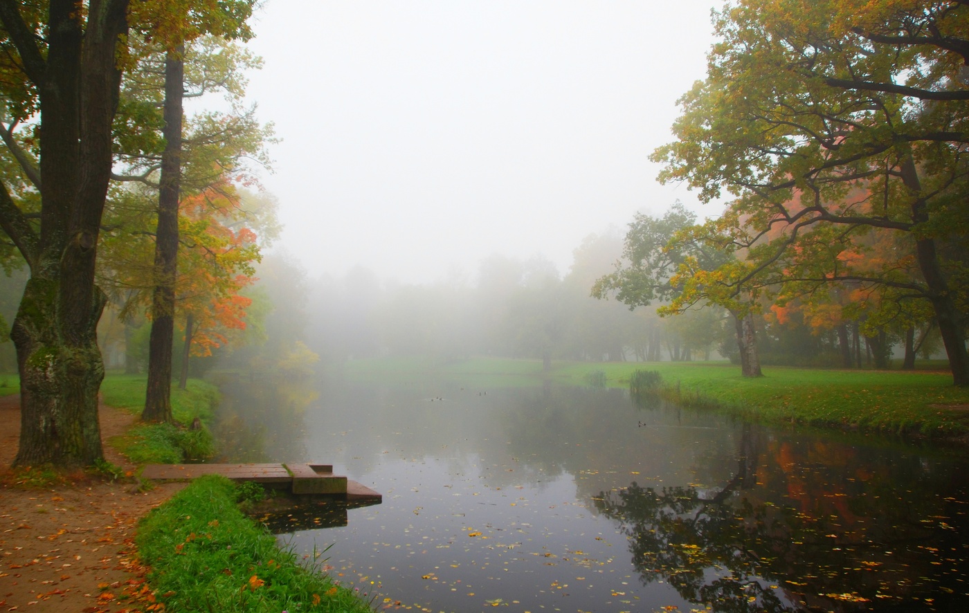 Туманное утро...