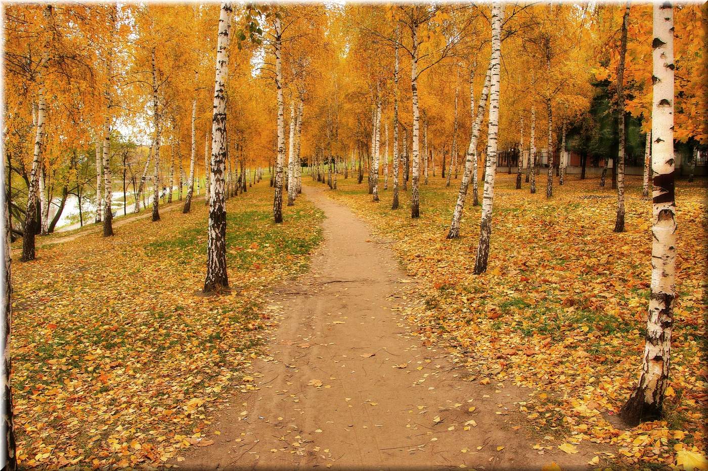 Золотая осень