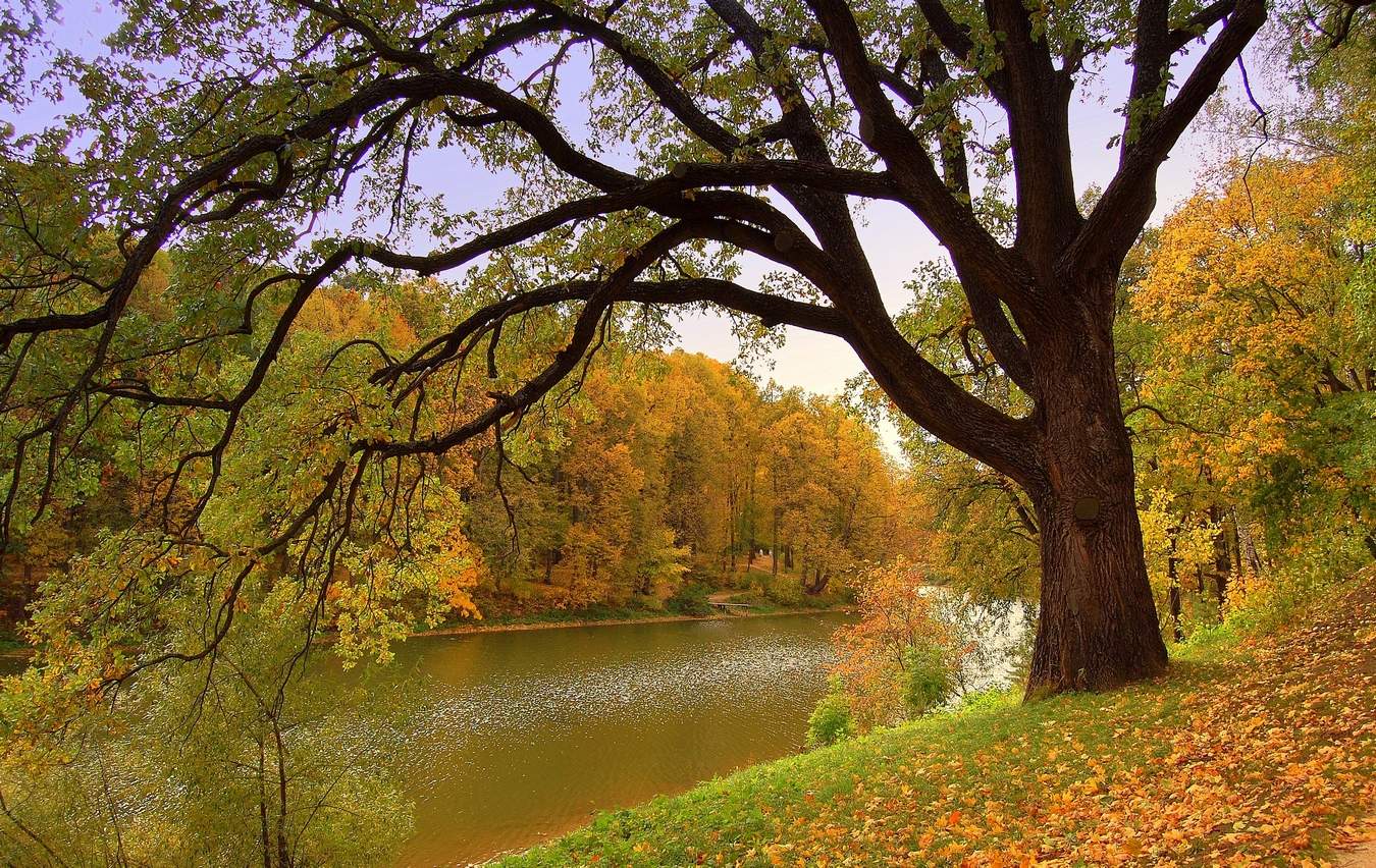 Тургеневская осень