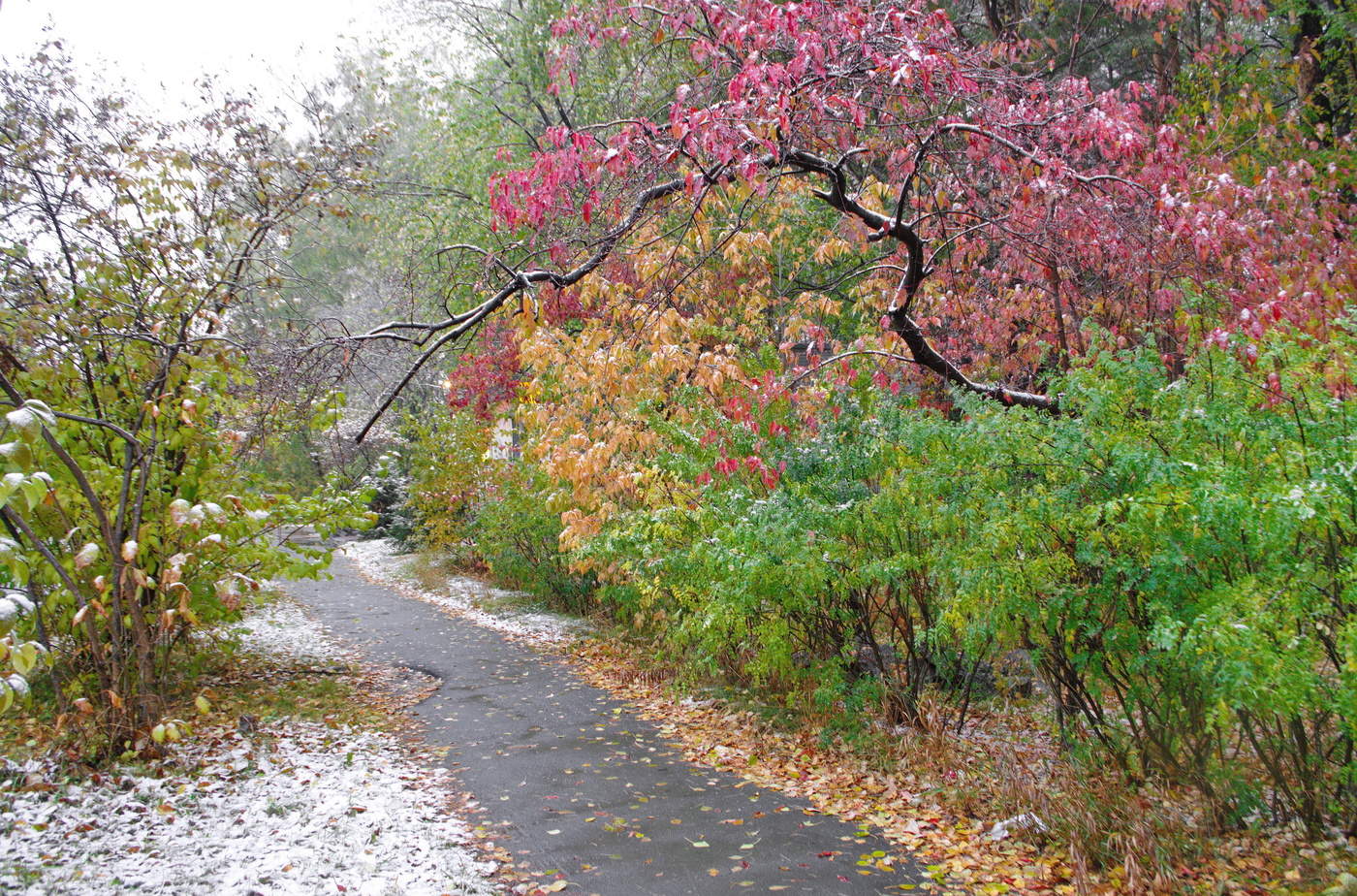 Не бабье лето