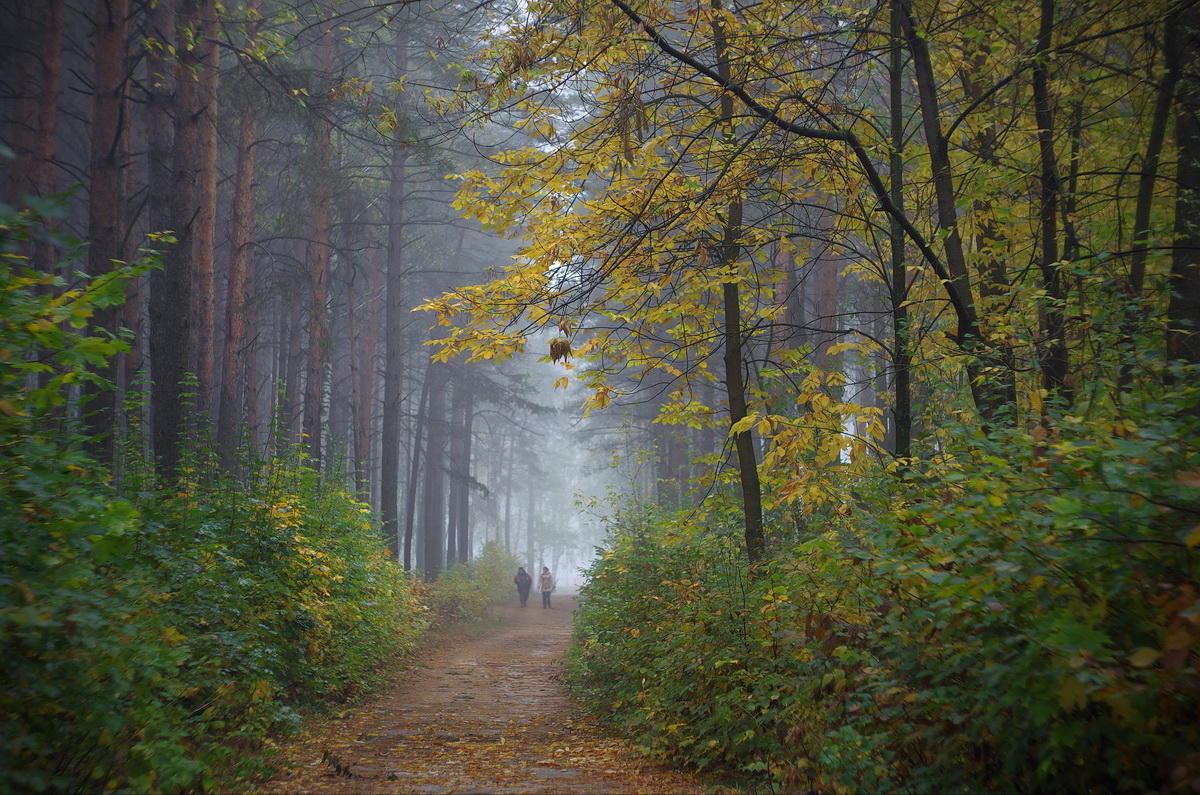 Не бабье лето