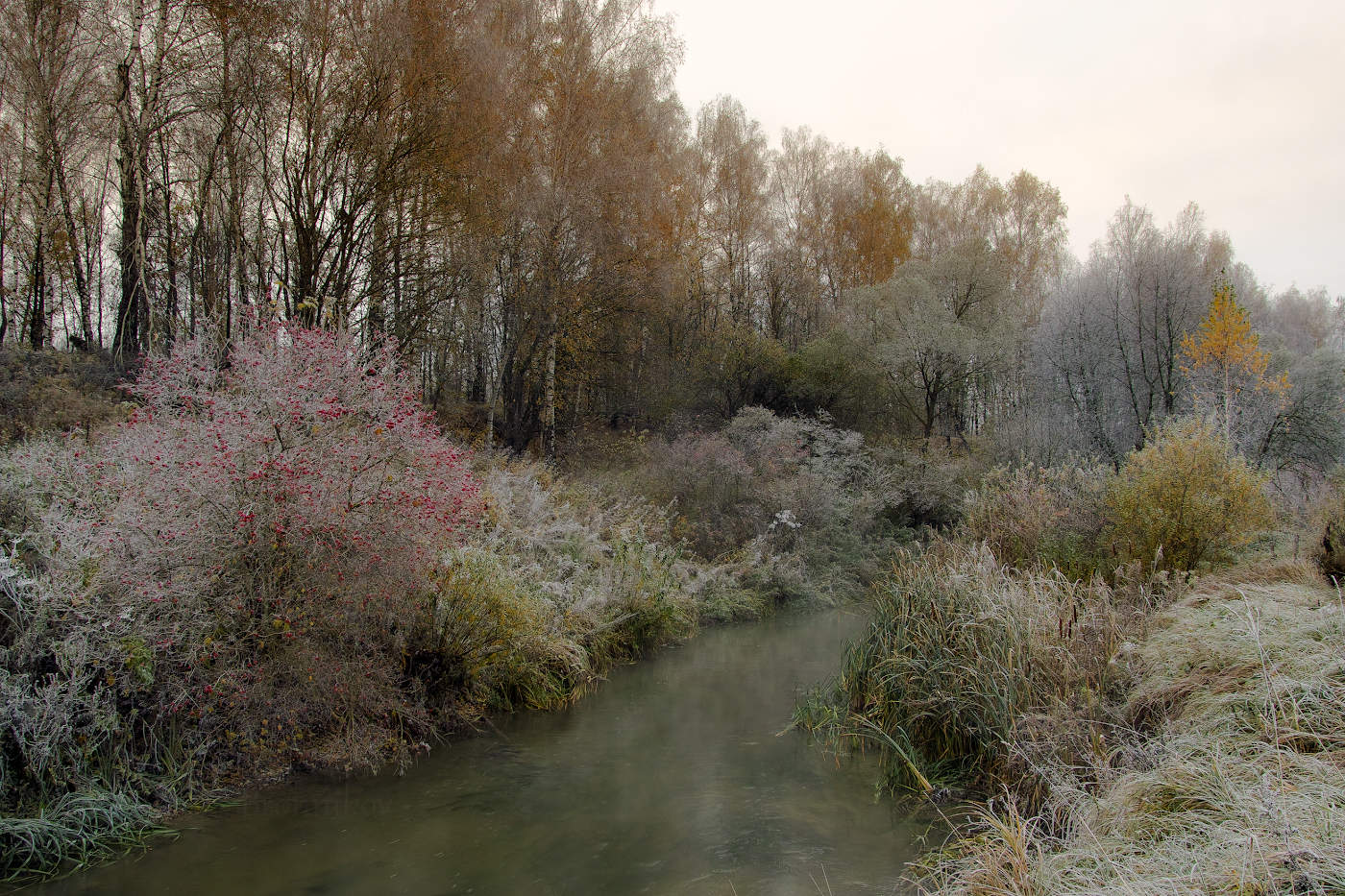 Первые заморозки,первый иней