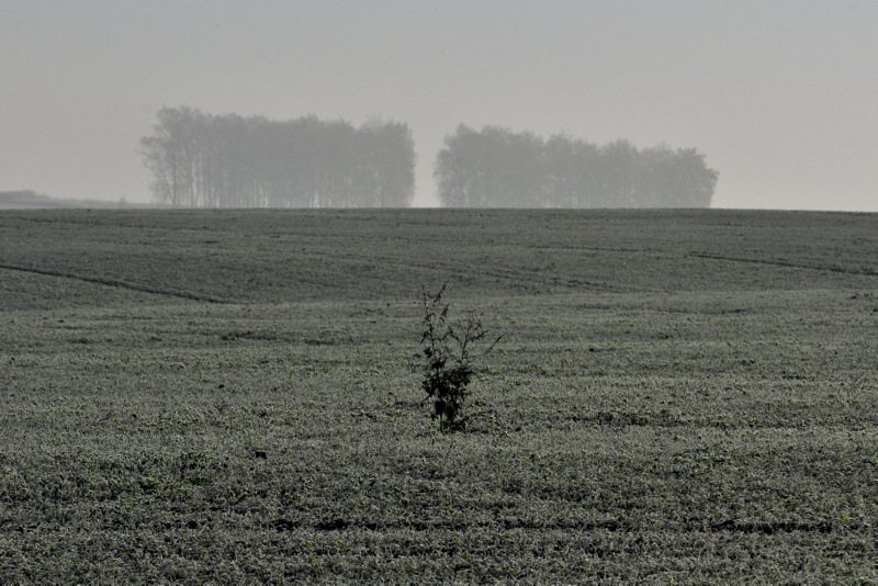 Не бабье лето