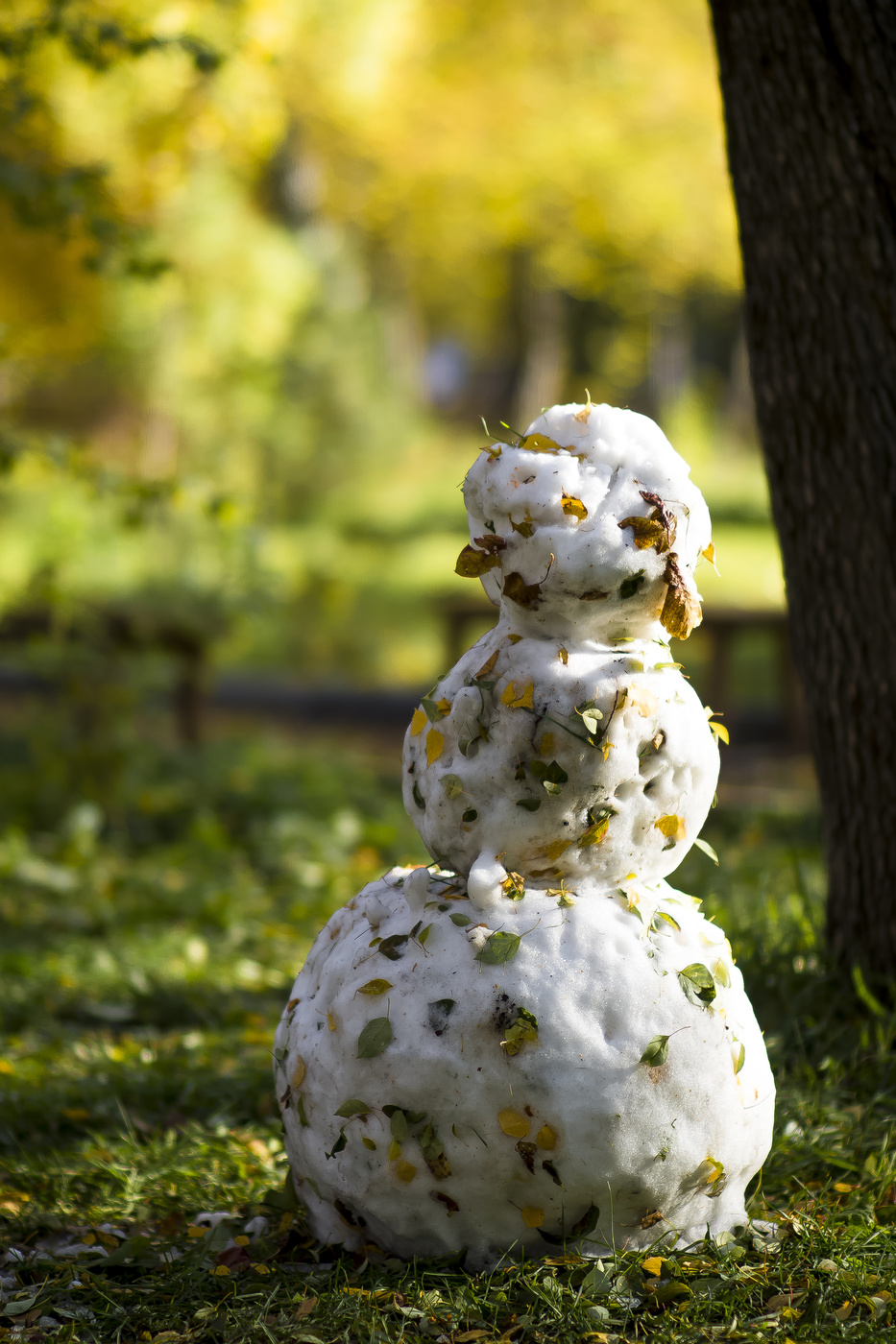 Не бабье лето