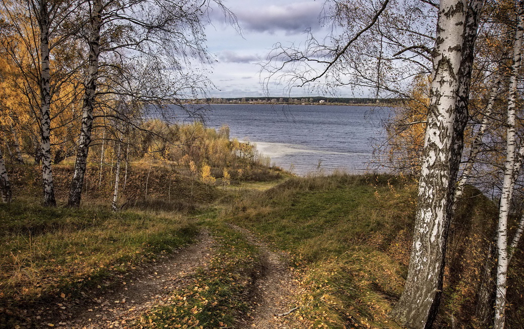 Родные мотивы