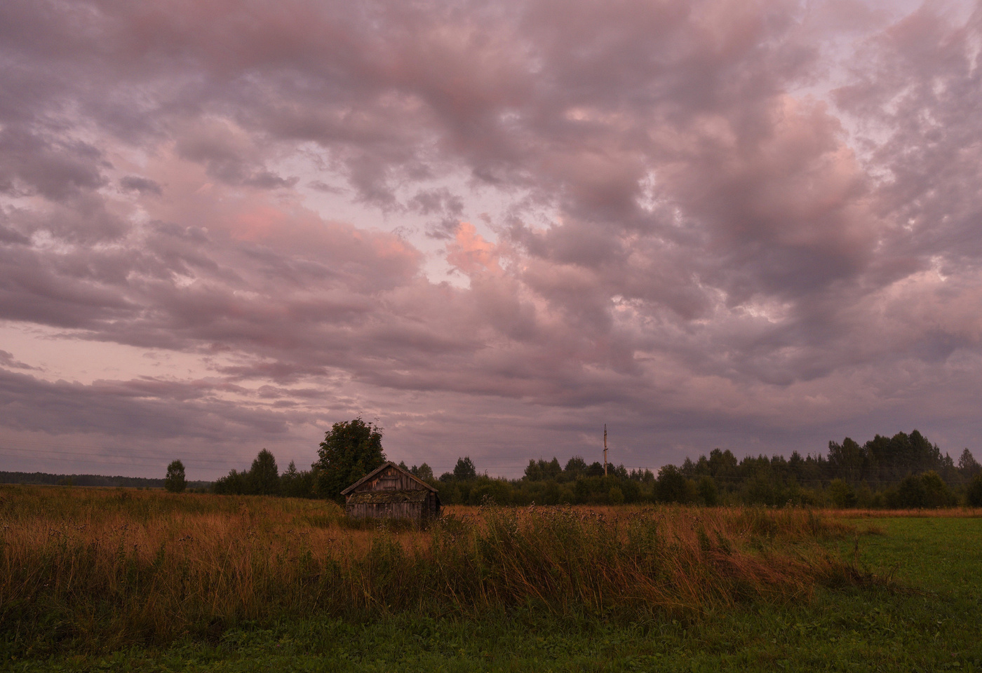 "Пахло мятою и свежею травою..."