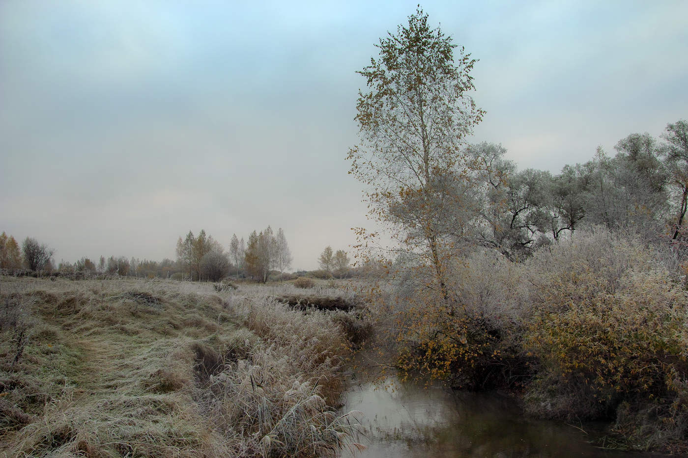 Иней-предвестник зимы