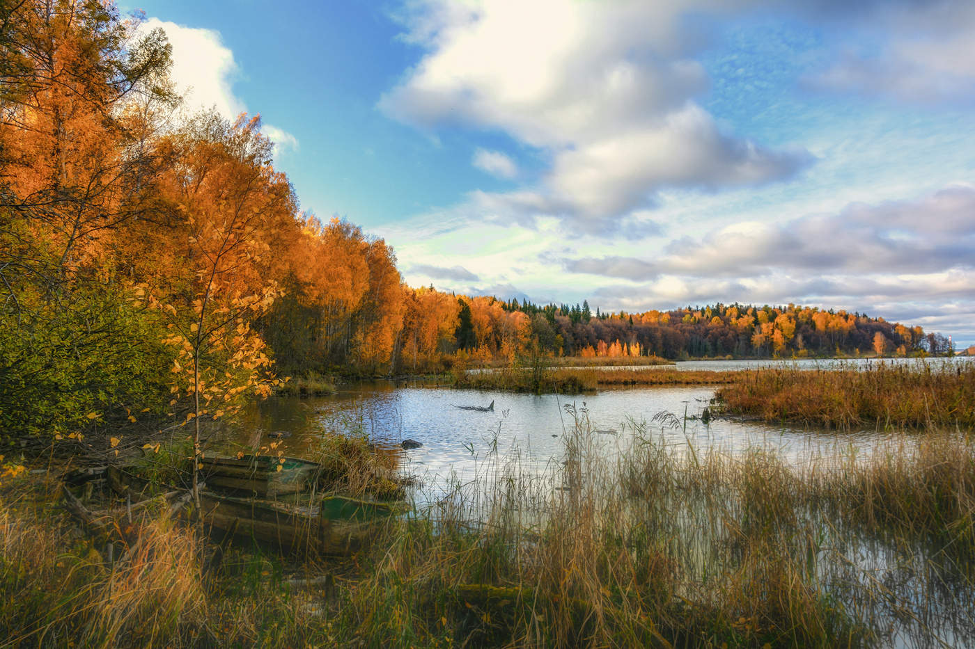 Лесное озеро