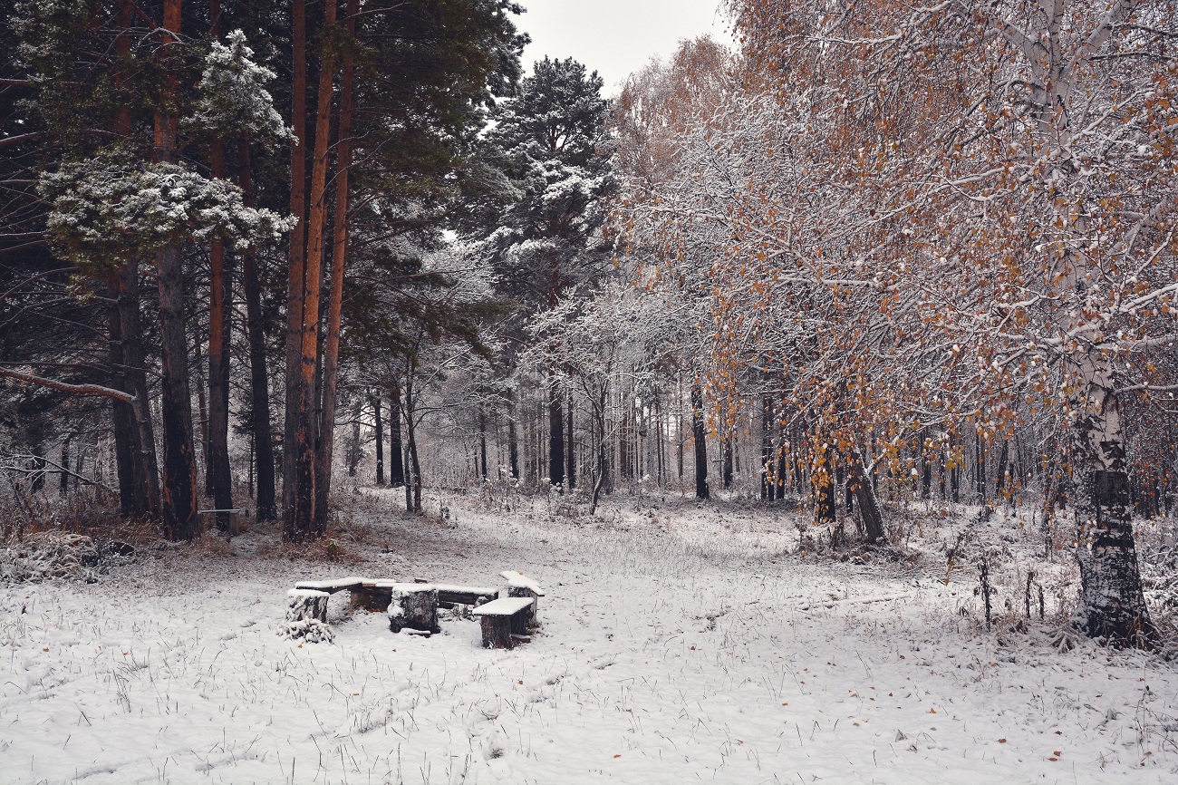 Снег на покров.