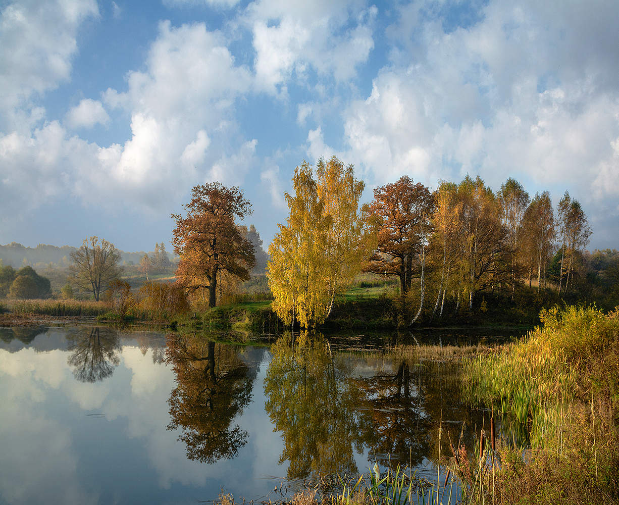 Осенний солнечный денек.