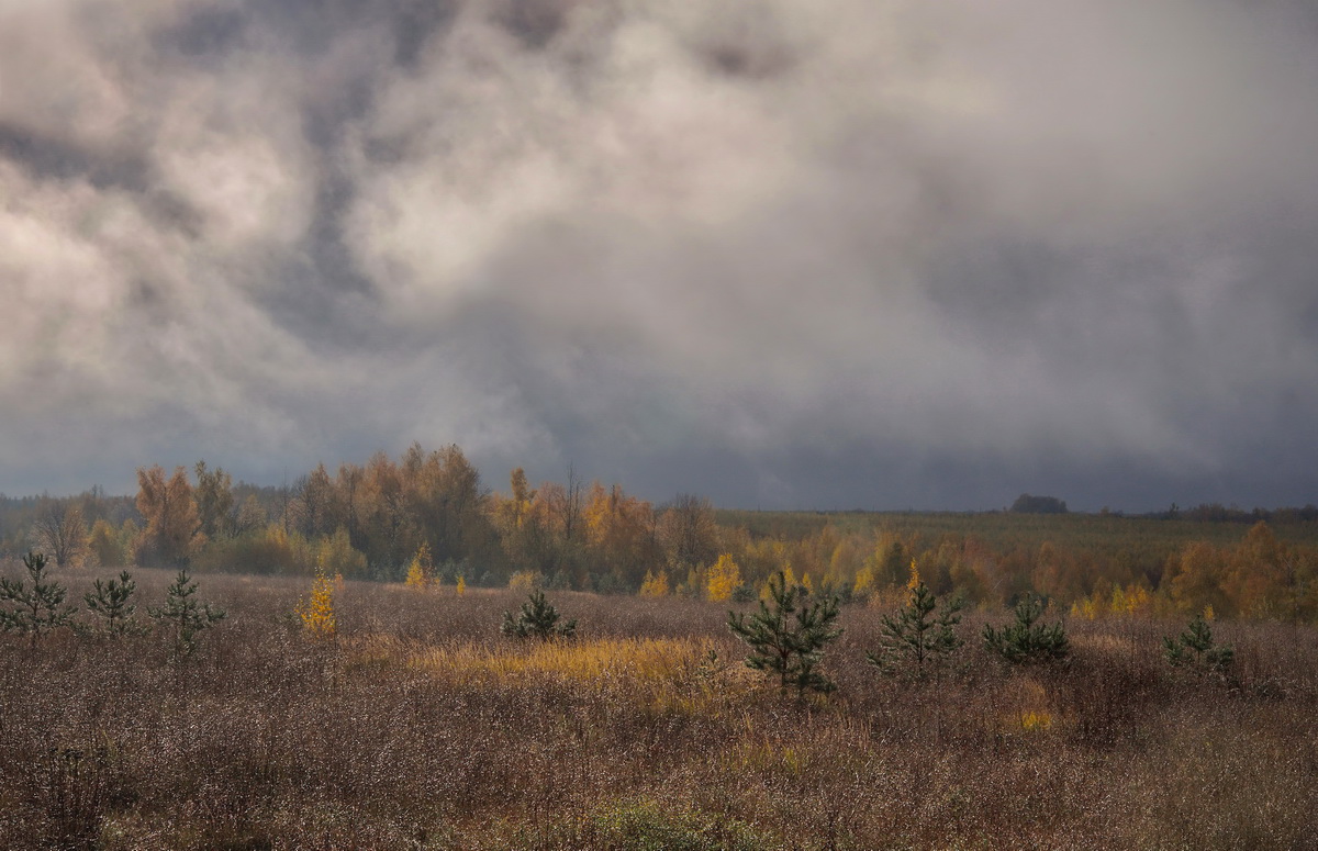Непостоянство октября