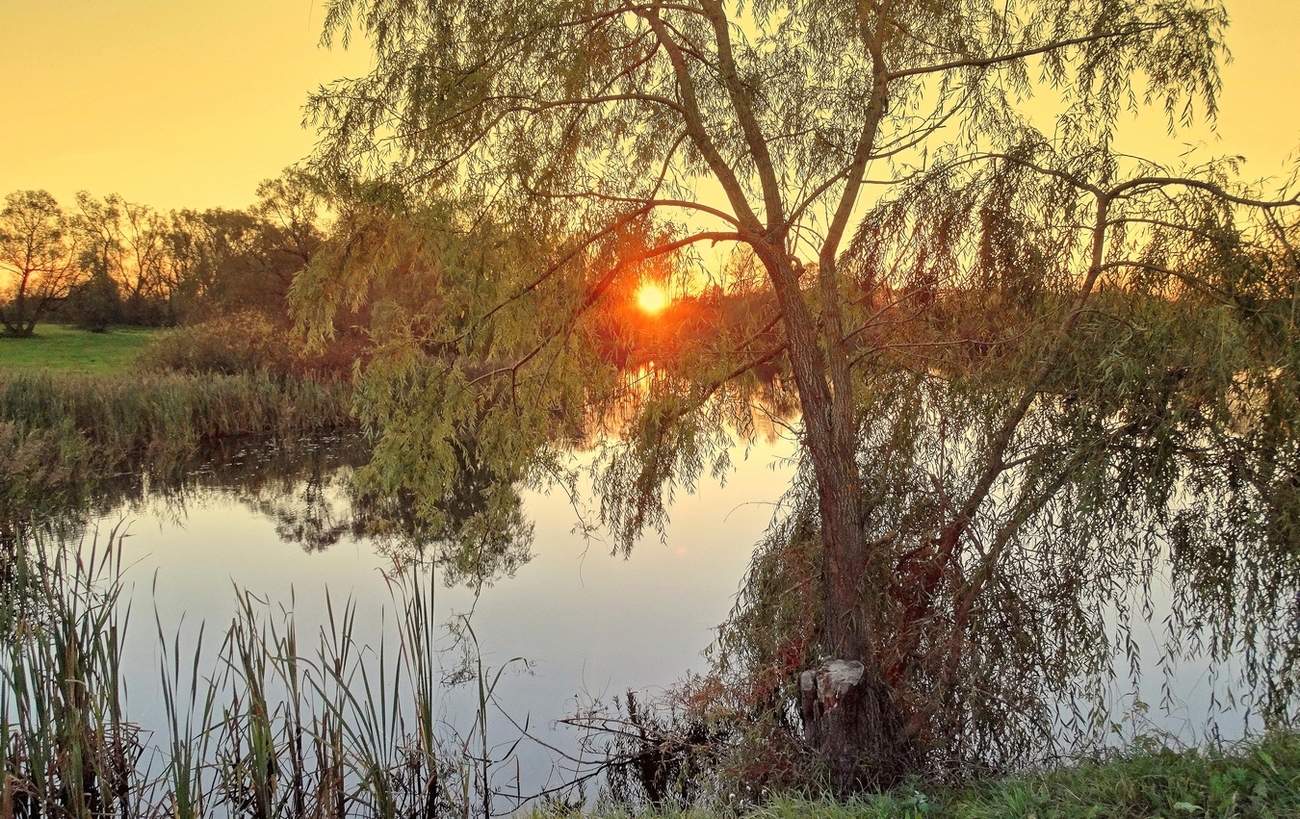 Солнце на закате