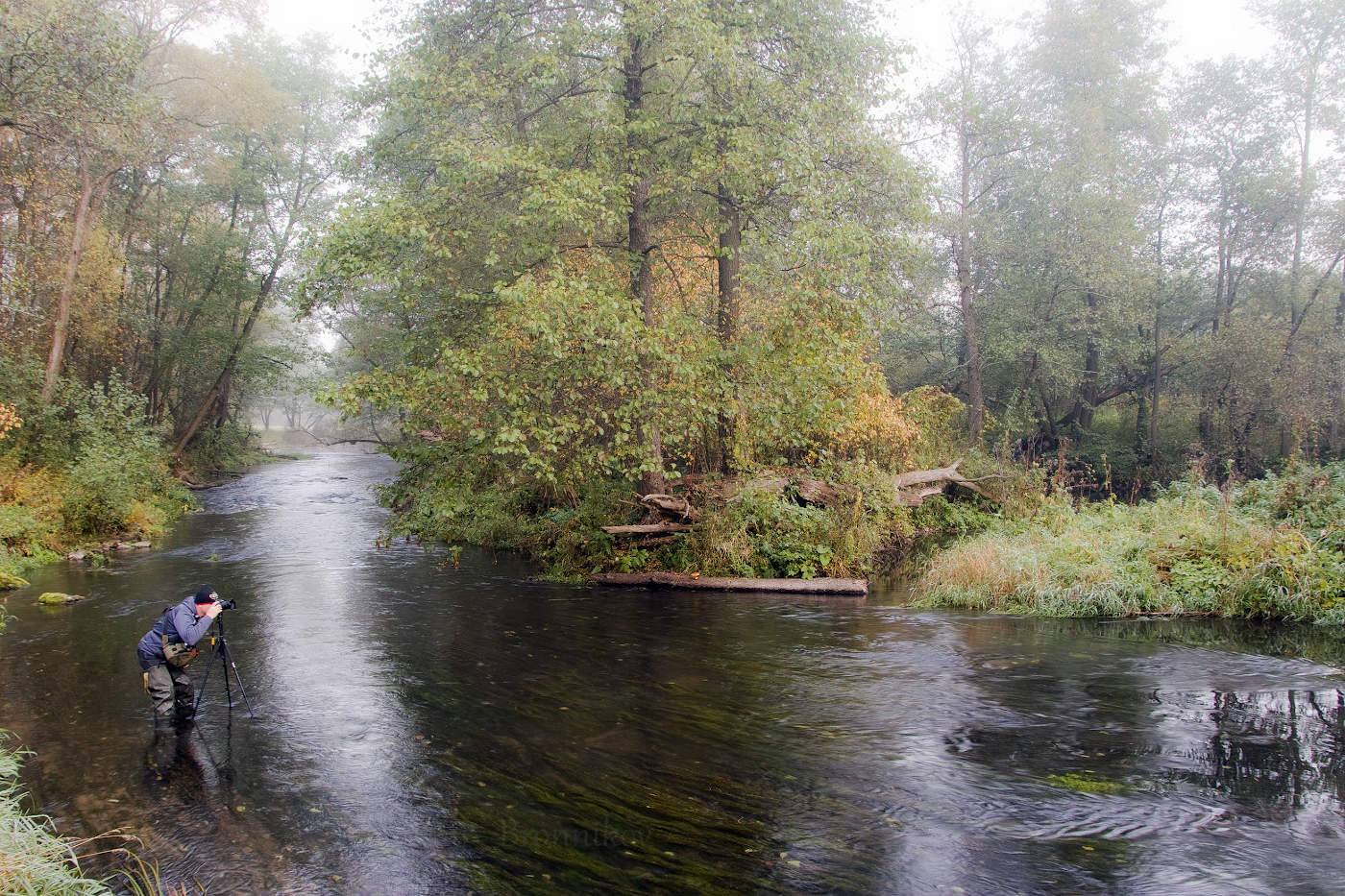В поисках сюжета