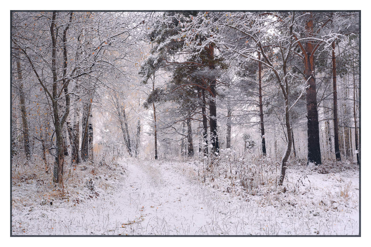 Зима не за горами.