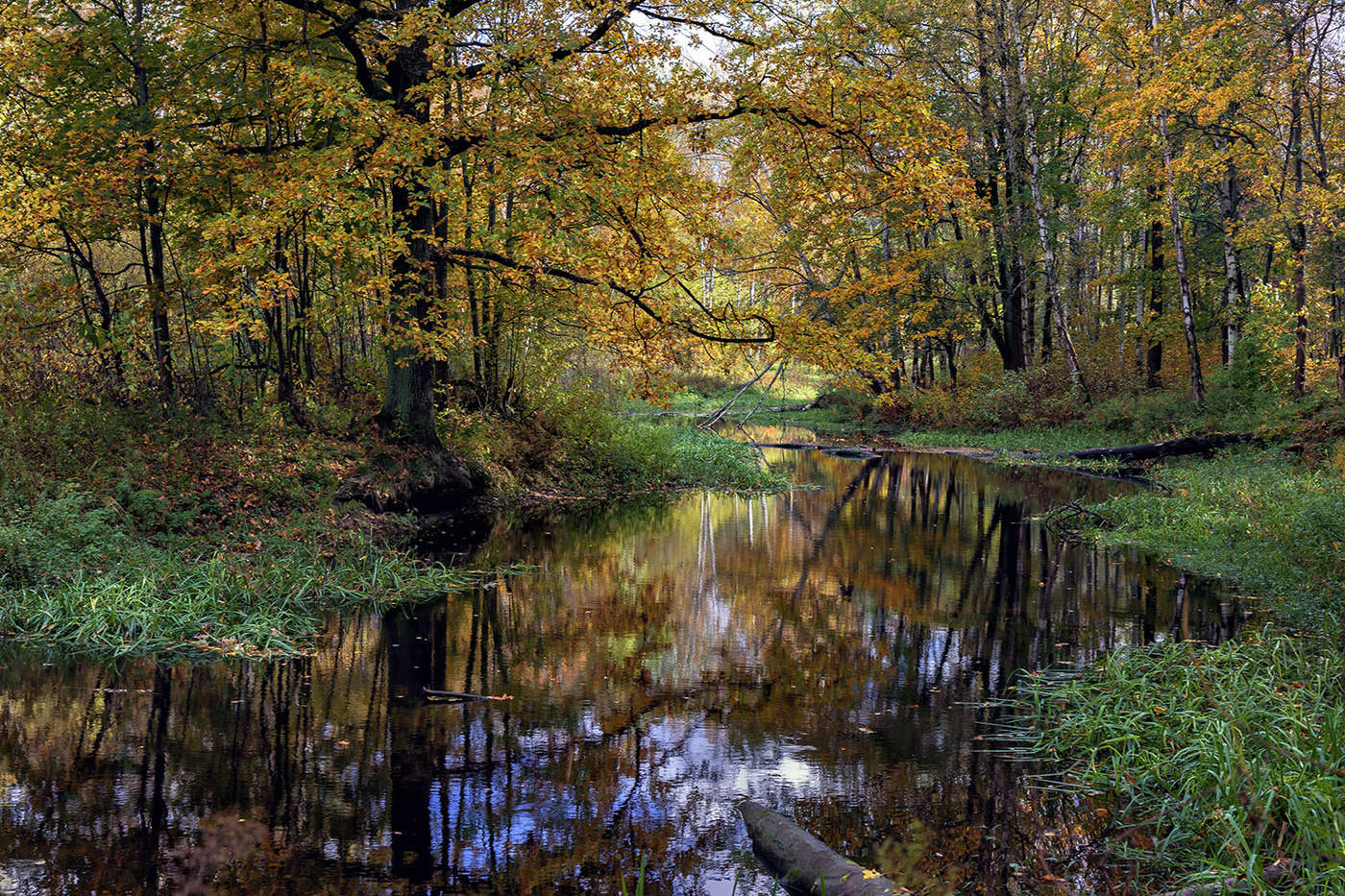 Осенние акварели...