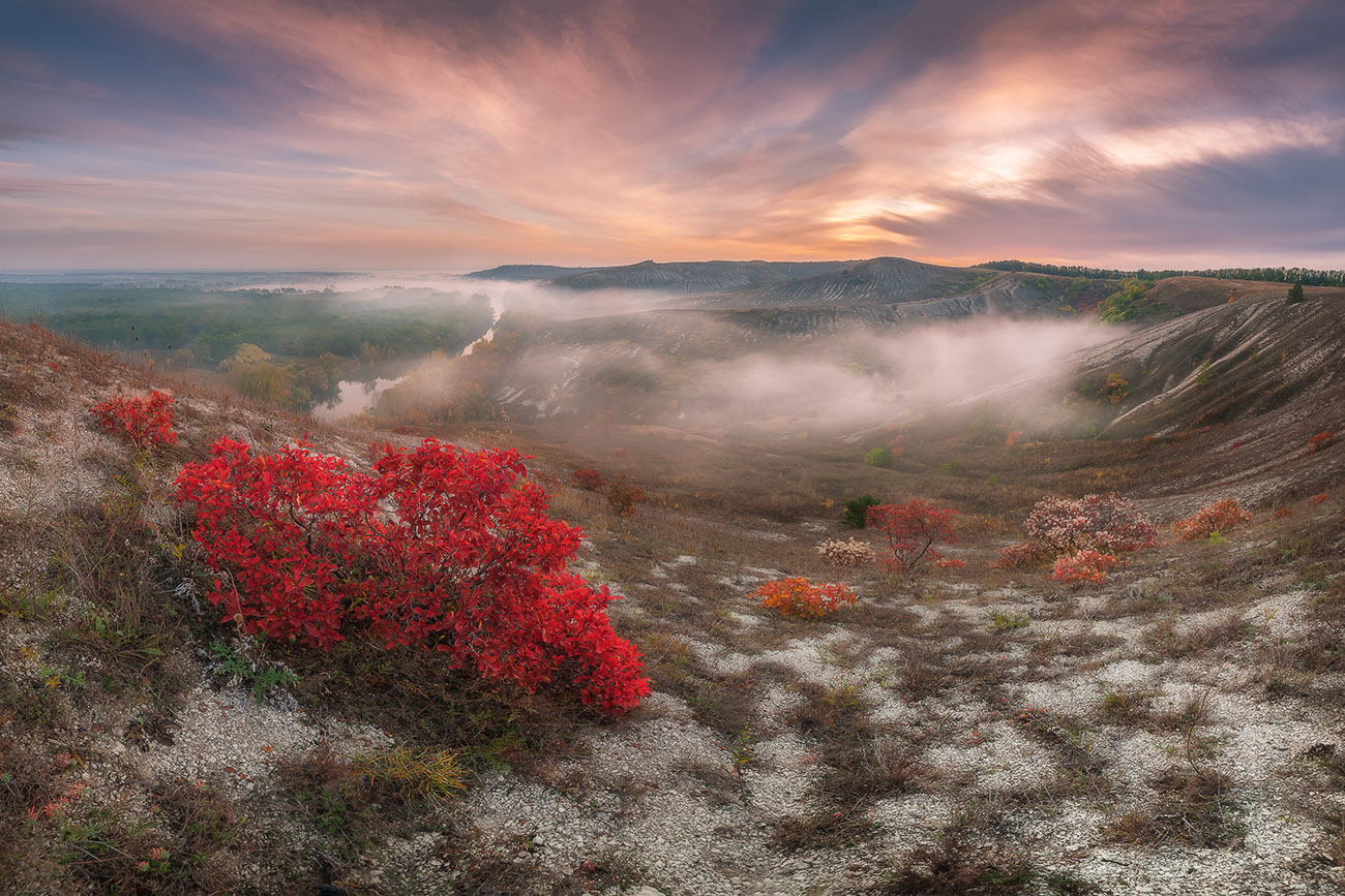 Утро в Меловой флоре
