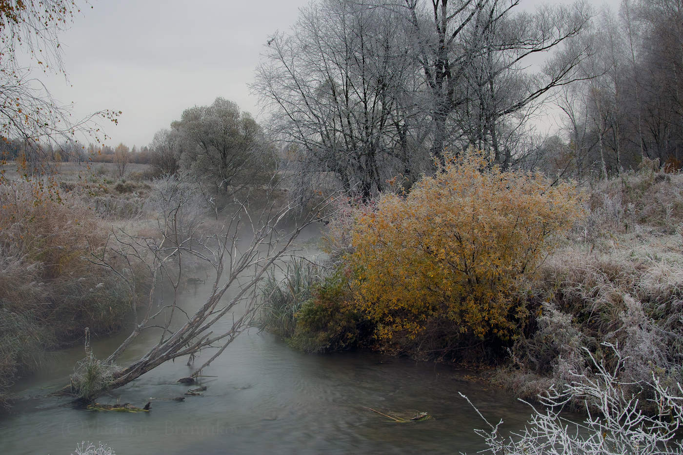 Рассветный день октября