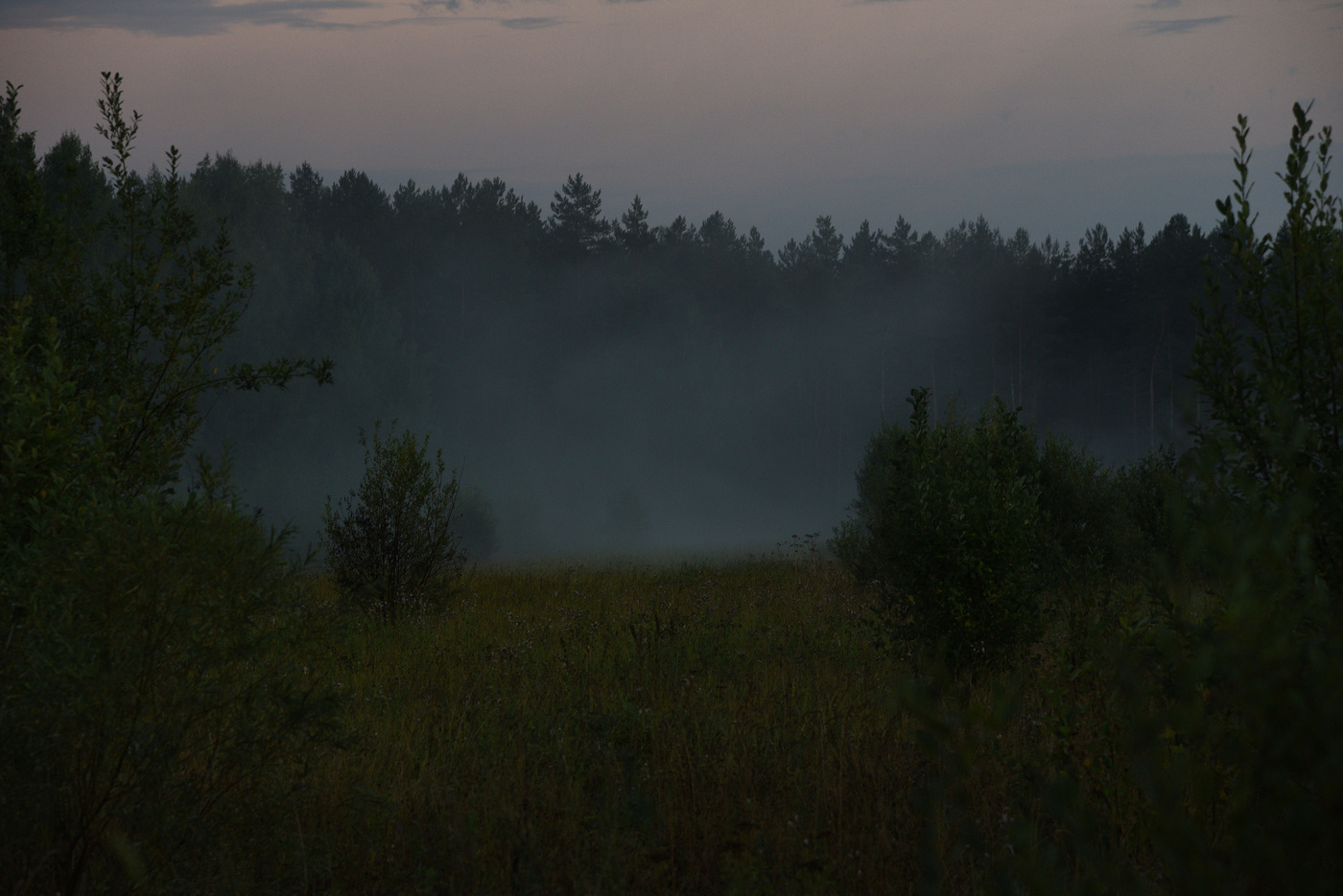 Почти стемнело .....