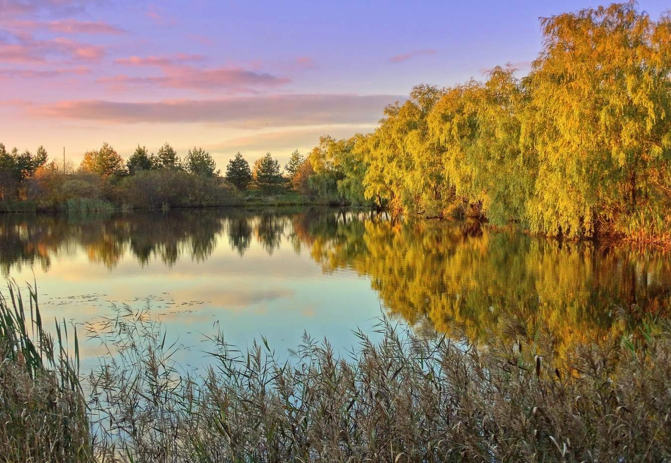 Вечер в Спасском
