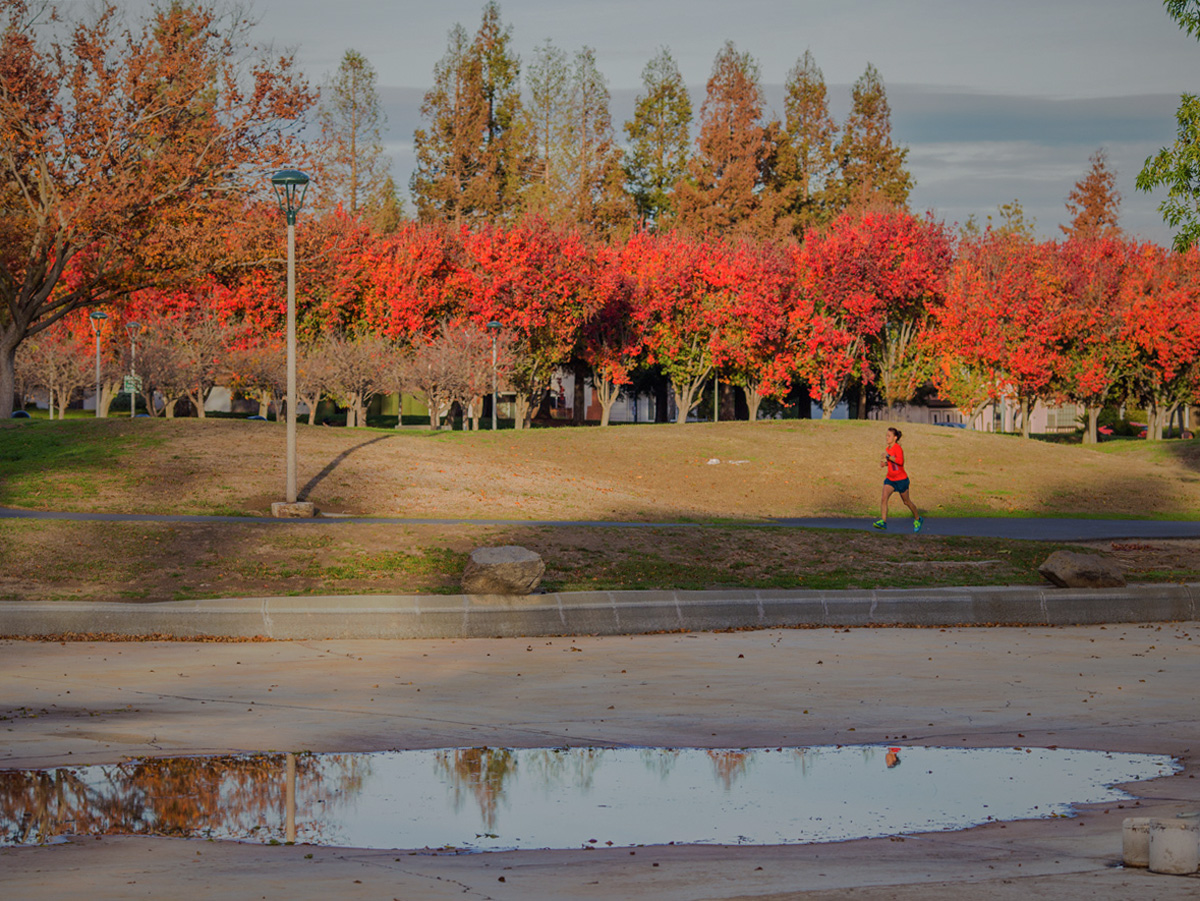 Осенняя разукрашка