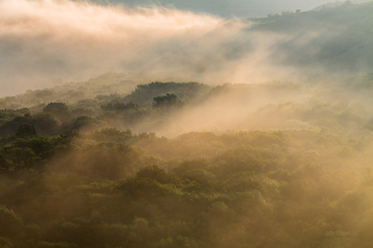Доброе утро :)