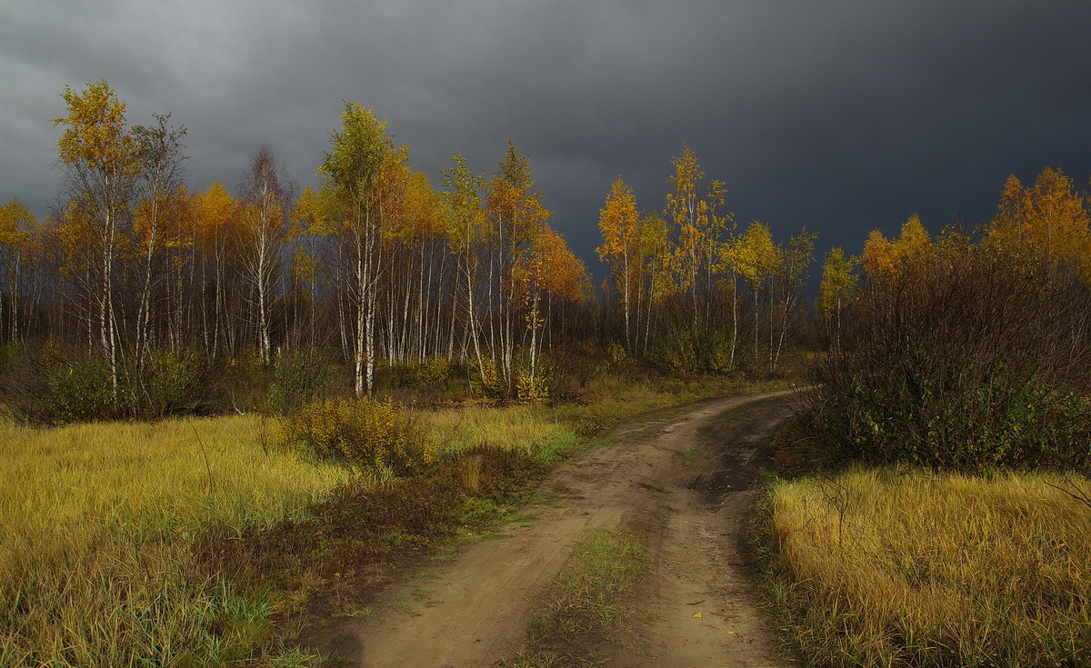 Осенняя разукрашка
