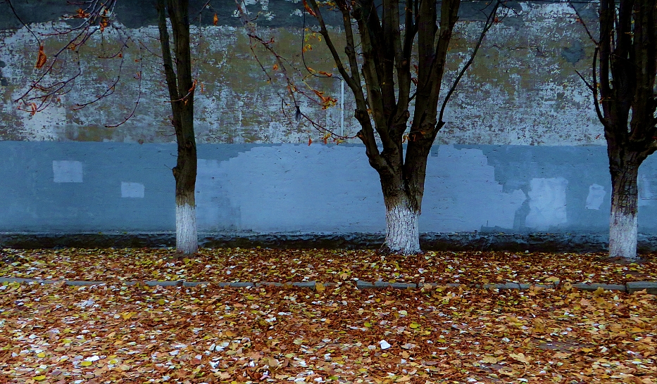 Осенняя разукрашка