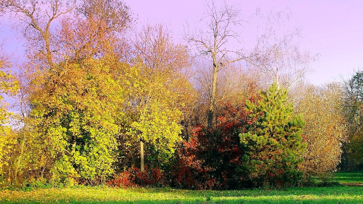 Осенняя разукрашка